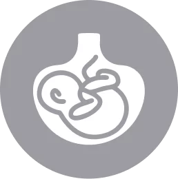 Shared Care Obstetrics